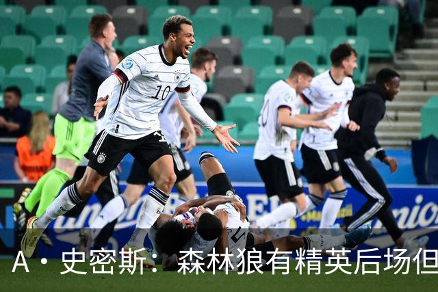 A·史密斯：森林狼有精英后场但体型变小 难应对雷霆马刺火箭掘金